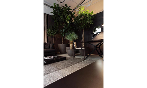 ورودی خانه با چیدمان فنگ شویی و گیاهان سبز برای جذب انرژی مثبت